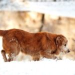 如何选择适合自己的征途国际娱乐游戏类型 2f3iyth