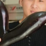 巅峰国际pg:如何在竞争激烈的市场中脱颖而出 gk654cg6