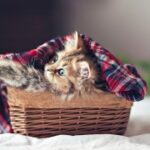 非凡娱乐平台:适合不同年龄段玩家的选择 xb3gz9