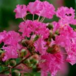 如何在非凡娱乐官网上提高你的胜率 xp3recfjw