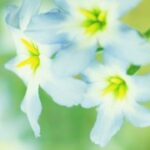 大满贯H5的视觉效果与音效体验 zzrti